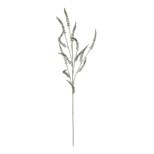 Glitter Green Amaranthus Stem Glitter Green Amaranthus Stem