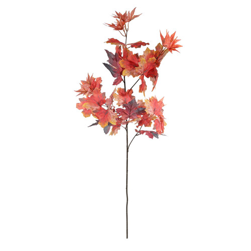 Essential Autumn Maple Leaf - Red Essential Autumn Maple Leaf - Red