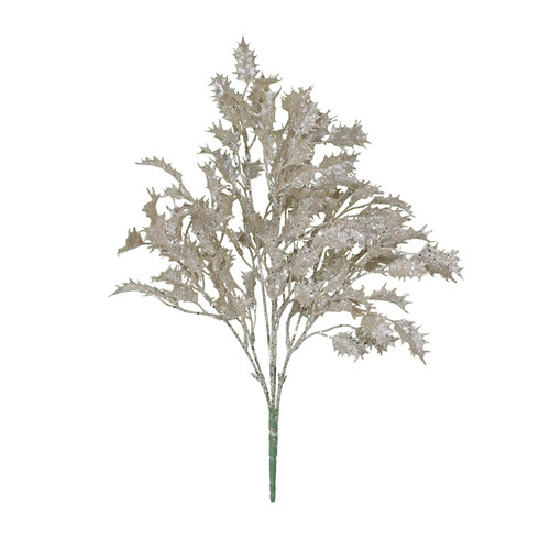 Champagne Glitter Holly Bush  Champagne Glitter Holly Bush