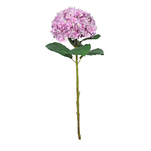 Botanica Giant Purple Mop Head Hydrangea (73cm) Botanica Giant Purple Mop Head Hydrangea (73cm)