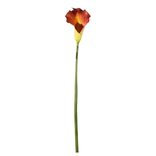 Botanica Large Mango Calla Lily (82cm) Botanica Large Mango Calla Lily (82cm)