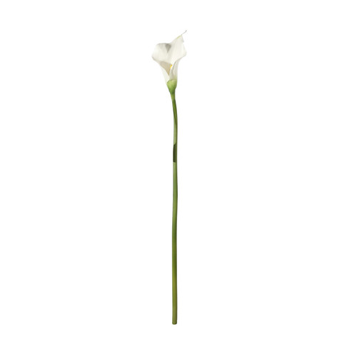 Botanica White Calla Lily (60cm)