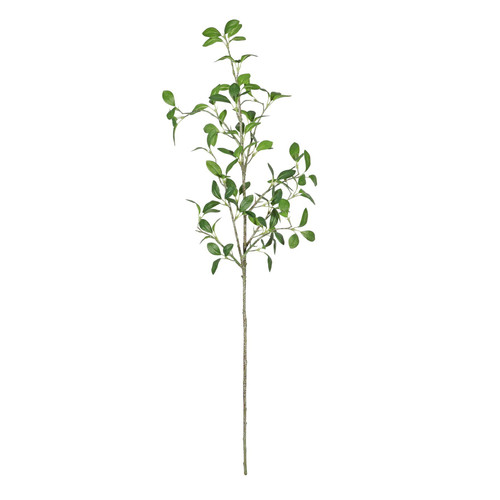 Botanica Giant Green Pitto Leaf (114cm) Botanica Giant Green Pitto Leaf (114cm)