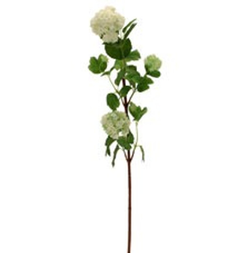 White Snowball Flower White Snowball Flower