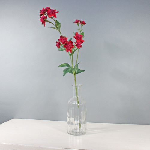 Red Astrantia with 14 Flowers (50cm) Red Astrantia with 14 Flowers (50cm)