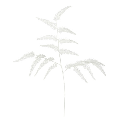 White Fern Stem (99cm)