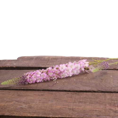 Veronica Spray Pink Veronica Spray Pink