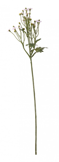 64cm Mini Daisy 64cm Mini Daisy