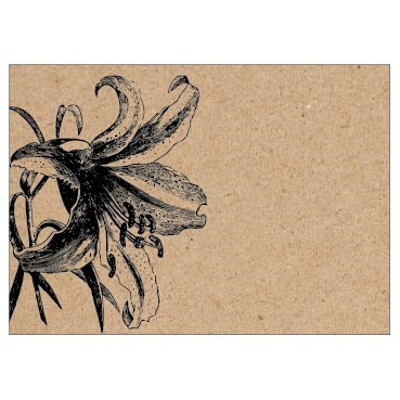 Black Lily Card (PK6)