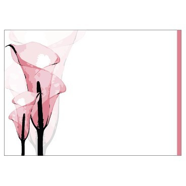 Pink Calla Lily Illustration Card (PK6)