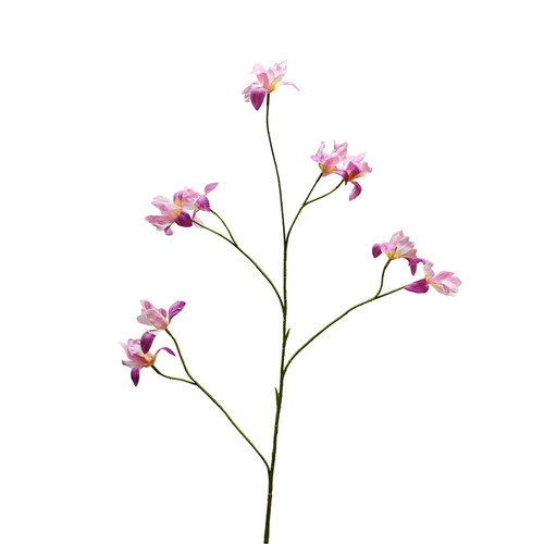 Botanica Pink Iris Spray (105cm)