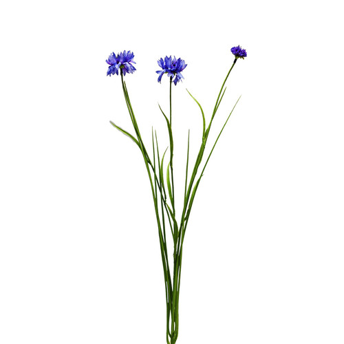 Botanica Purple Cornflower (69cm)
