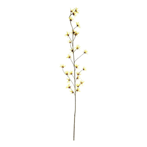 Botanica Yellow Hamamelis Branch (153cm)