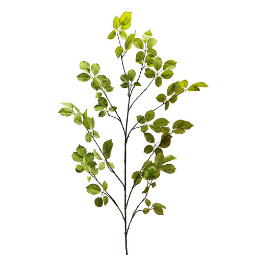 Botanica Leaf Spray Branch (170cm)
