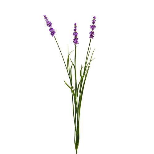 Botanica Pink Lavender (76cm)