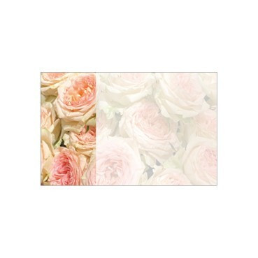 Pack of 25 Small Pale Pink Roses Card