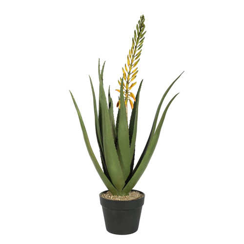 Botanica Flowering Aloe in Pot (82cm)