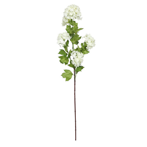 White Botanica Viburnum Opulus (87cm)
