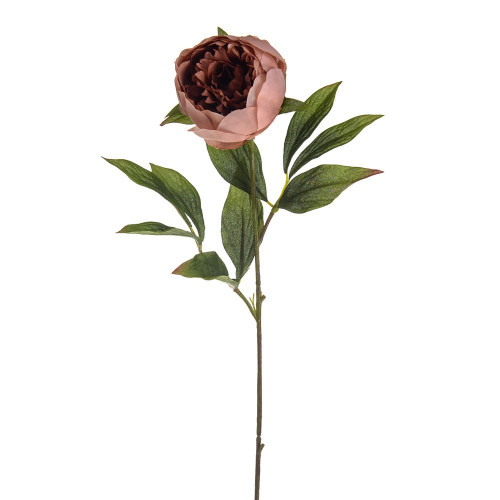 Russet Amelia Peony Stem (63cm)