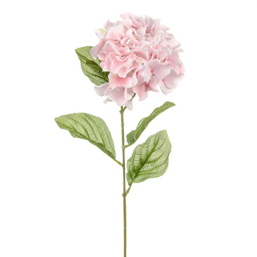Pink Dawn Hydrangea (72cm)