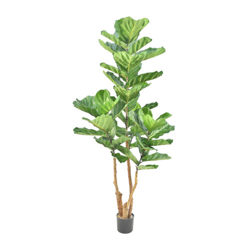 Green Fiddle Leaf Tree Potted Deluxe (6ft)
