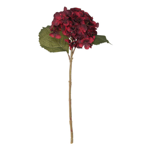 Balmoral Hydrangea Burgundy (45cm) Balmoral Hydrangea Burgundy (45cm)