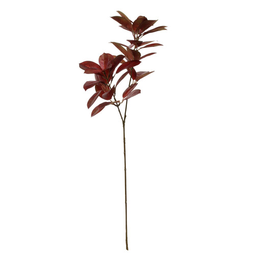 Glamis Citrus Leaves Spray Chocolate (75cm) Glamis Citrus Leaves Spray Chocolate (75cm)