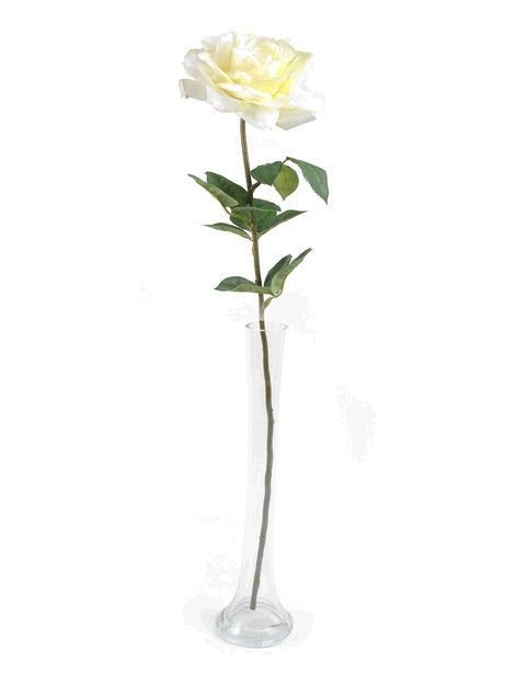 Cream Pippa Rose Open (68cm)