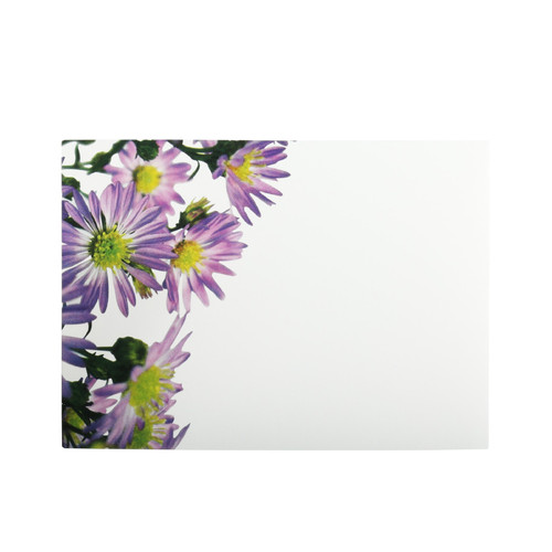 Purple Aster Flower Florist Card (Pack of 6)