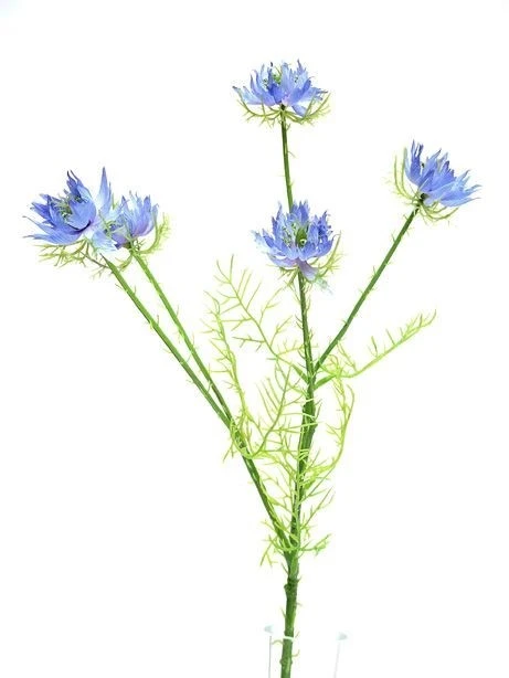 Blue Nigella Spray (57cm)