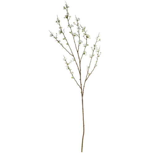 Cream Plum Blossom (127cm)