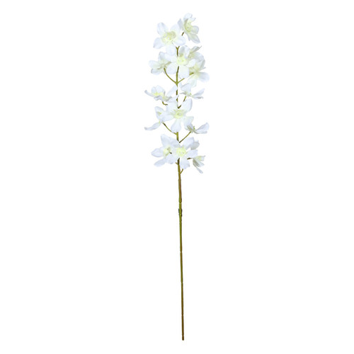 Cream Dendrobium Orchid Spray (72cm)