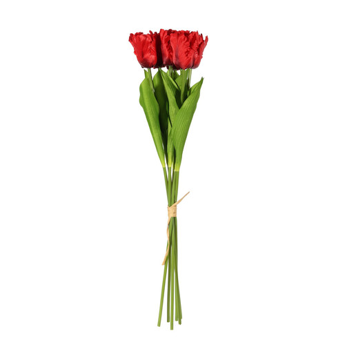 Essential Red Small Parrot Tulip Bunch (6 Stems)