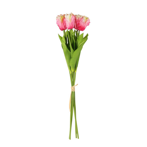 Essential Pink Small Parrot Tulip Bunch (6 Stems)