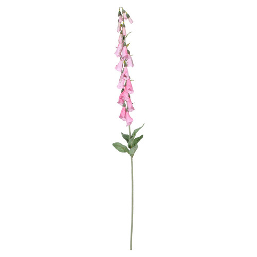 Fuchsia Digitalis Spray (107cm)