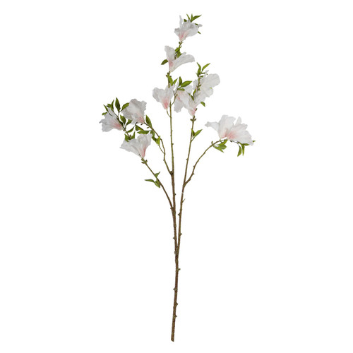 Cream Rhododendron (83cm)