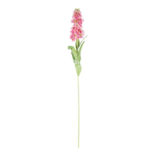 Dark Pink Stock Flower (80cm)