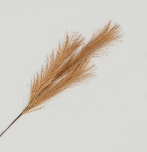 Copper Pampas Grass Spray (82cm)