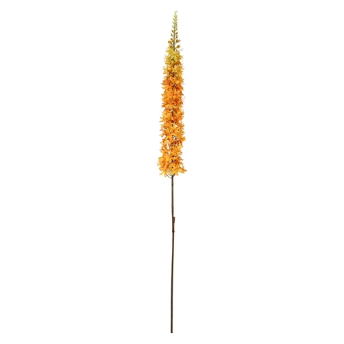 Orange Single Foxtail Lily (109cm)