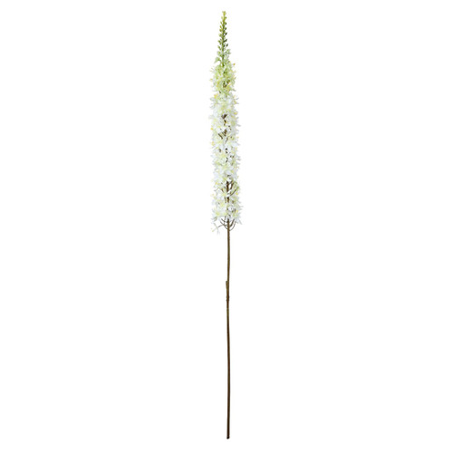 Cream Single Foxtail Lily (109cm)