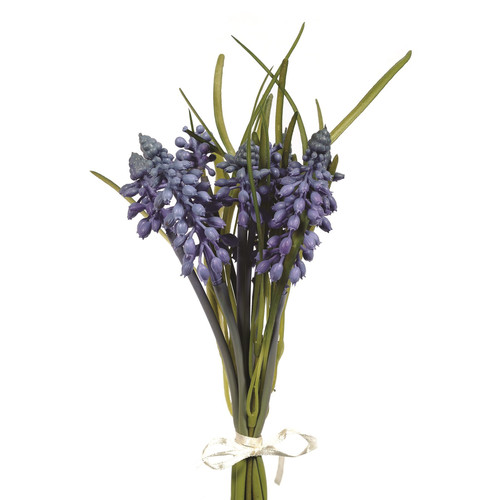Blue Muscari Bundle (25cm)