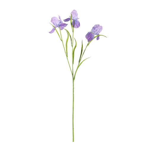 Purple Iris Spray (60cm)
