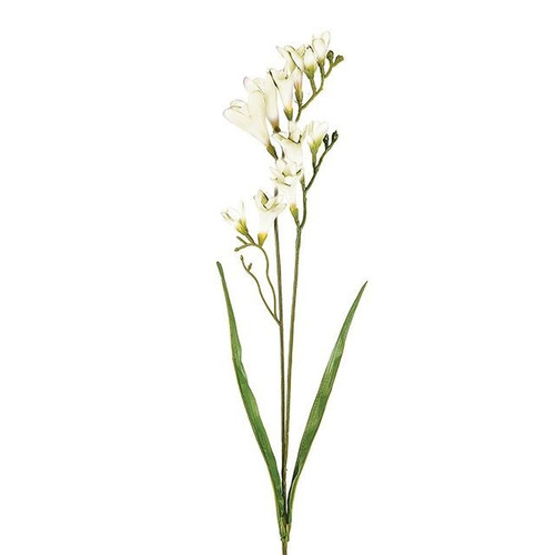 Cream Freesia Spray 2 Heads
