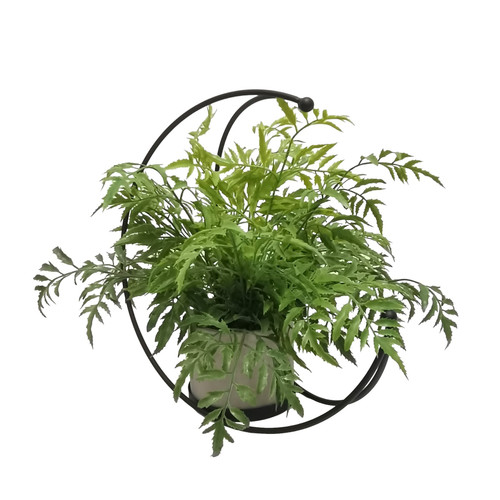 Green Silver Fern Half Moon Frame (46cm)
