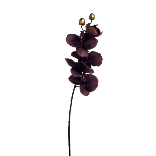 Purple Phalaenopsis Spray (66cm)