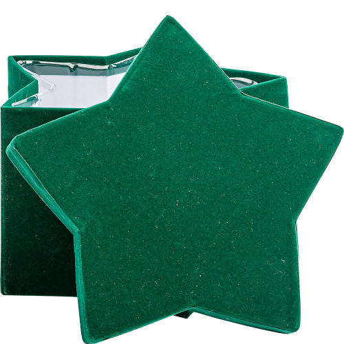 Green Star Planting Gift Box