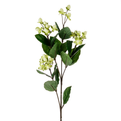 Cream Hypericum (72Cm)