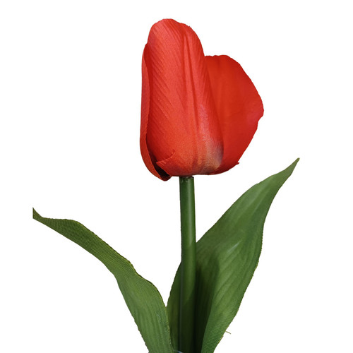 Red Tulip with Leaves (28")