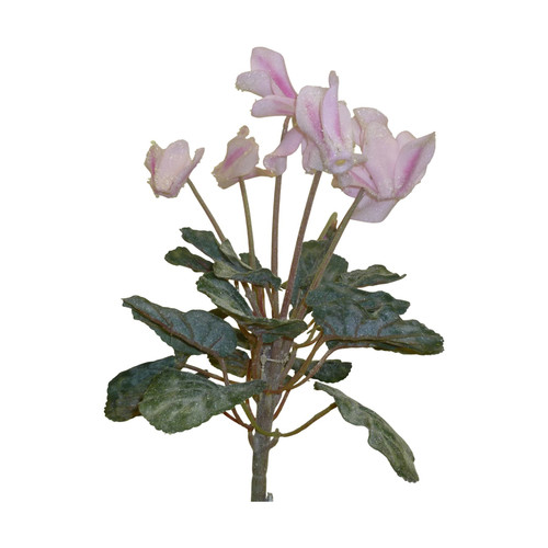 Light Pink Multi-Stem Cyclamen Pick (32cm)