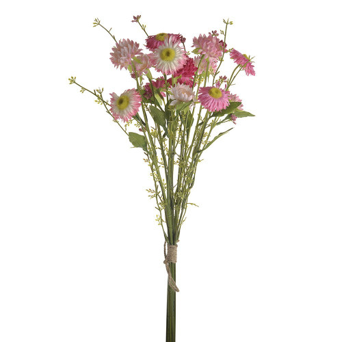 Pink Strawflower Bundle (50cm)